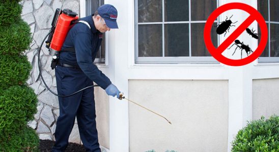 Evka 3 Hamam Böceği İlaçlama böcek ilaçlama ve haşere kontrolü — ilaclama-tr.com
